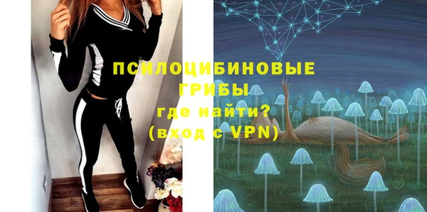 мет Алексин